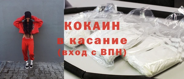 эйфоретик Бородино