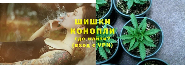 эйфоретик Бородино